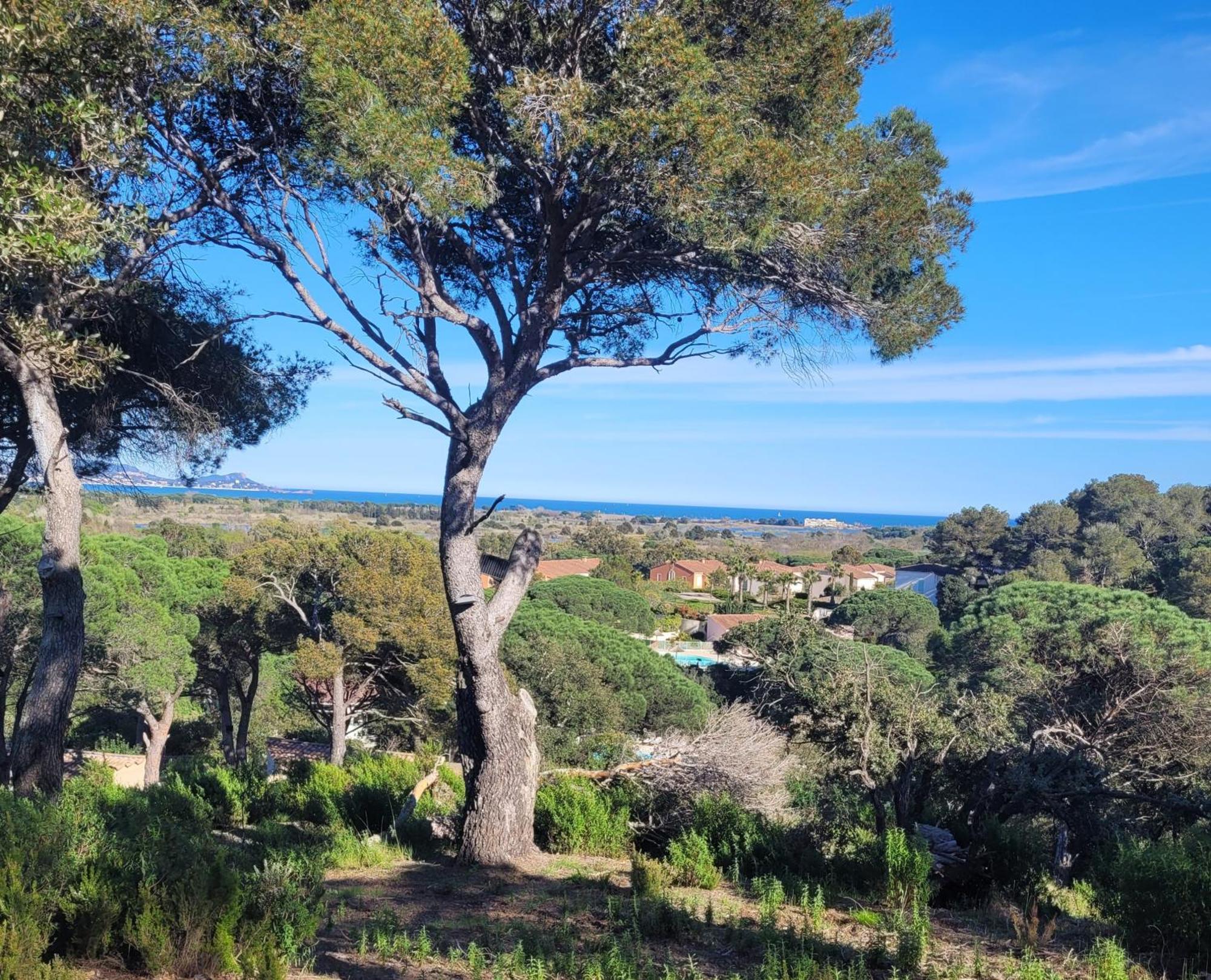La Joya De Villepey Saint Aygulf Luaran gambar